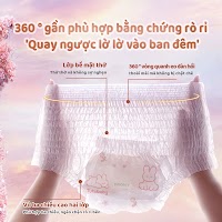 Băng Vệ Sinh Dạng Quần Chống Tràn | Bí Quyết Mặc Áo Dài Tự Tin Mê Áo Dài - thumbnail 6