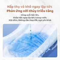 Băng Vệ Sinh Dạng Quần Chống Tràn | Bí Quyết Mặc Áo Dài Tự Tin Mê Áo Dài - thumbnail 9